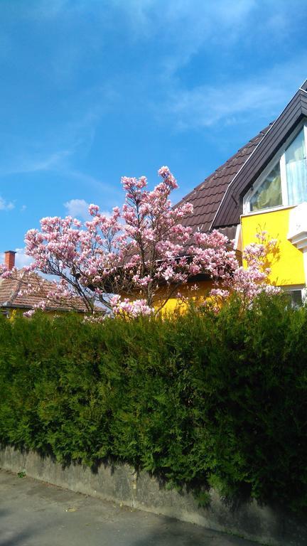 Ferienwohnung Julia Vendeghaz Sárospatak Exterior foto